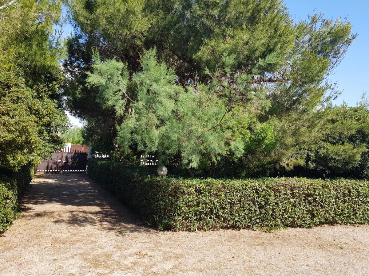 Villa Cino Punta Prosciutto Bagian luar foto